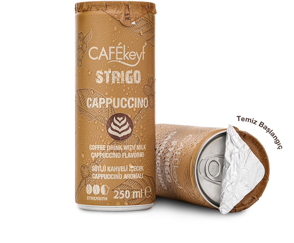 CAFEkeyf Cappuccino sütlü soğuk kahve